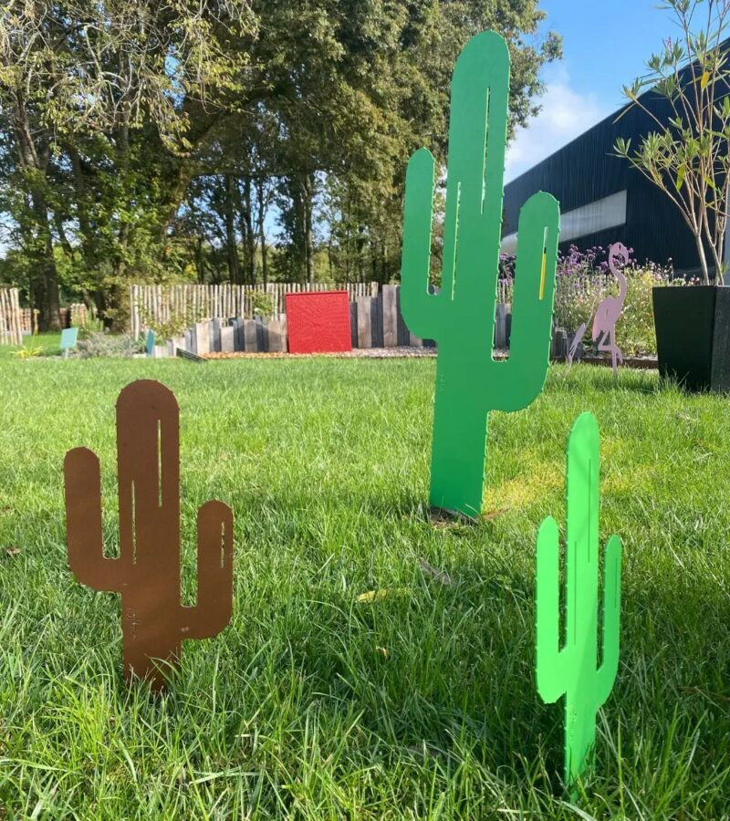 Cactus Mr Pique