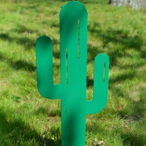 Cactus Mr Pique