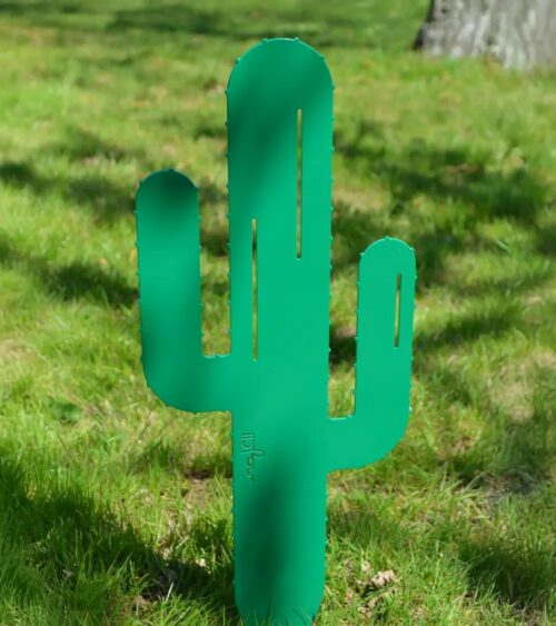 2502.jpg Cactus Mr Pique