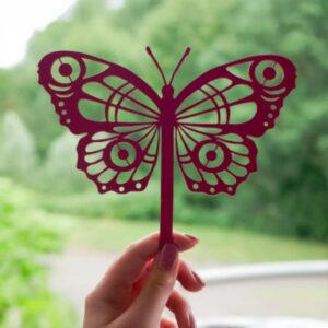 2507.jpg Papillon Cocoon