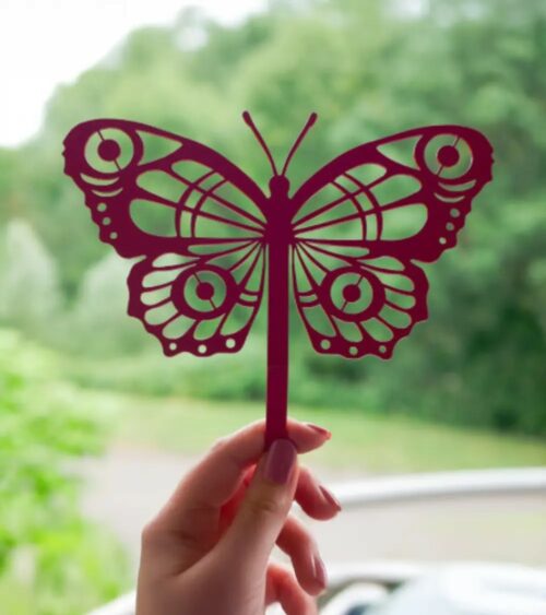 Papillon Cocoon