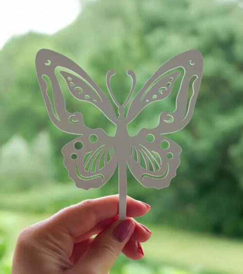Papillon Beautiful