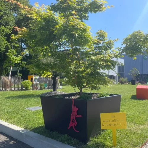 Jardinière Big Peinte